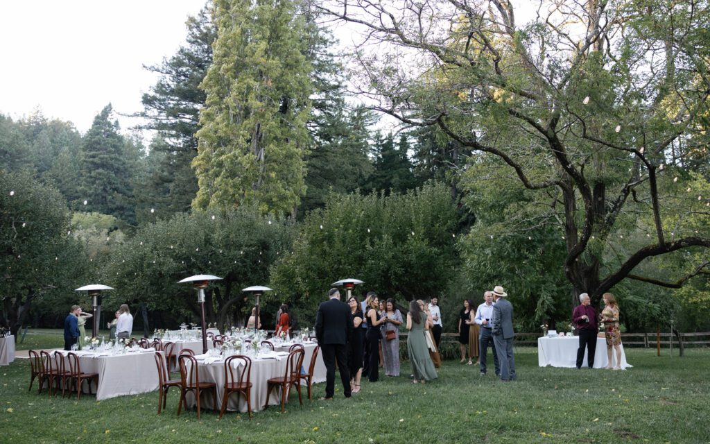 Napa Wedding Reception