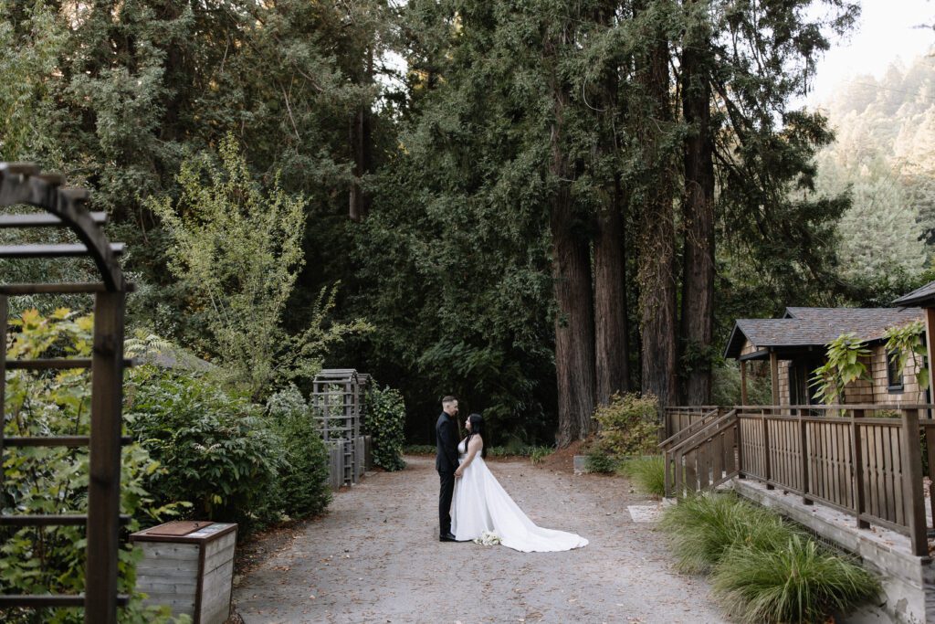 Bride and groom portraits in Sonoma County Redwoods