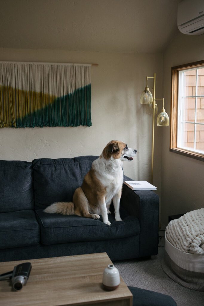 Couple's dog waits patiently during their private vows at elopement in Oregon.