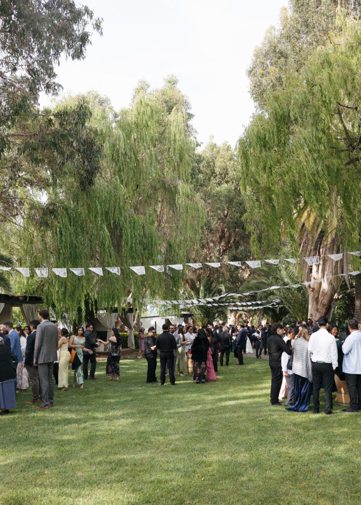 Guests enjoy cocktail our during outdoor wedding reception at Cline Cellars in Sonoma.
